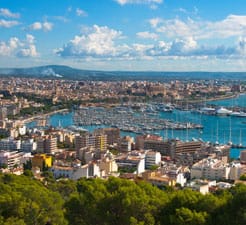 Palma